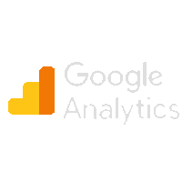 googleAnalytics